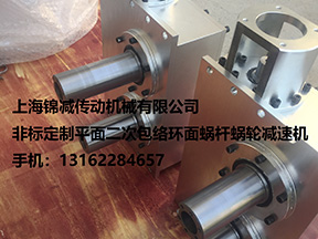 非標定做平面二次包絡(luò)環(huán)面蝸桿減速機